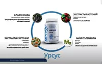 390 000 сум Урсус - AGenYZ БАД Ursus для почек и мочевого пузыря