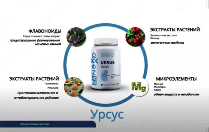 390 000 сум Урсус - AGenYZ БАД Ursus для почек и мочевого пузыря