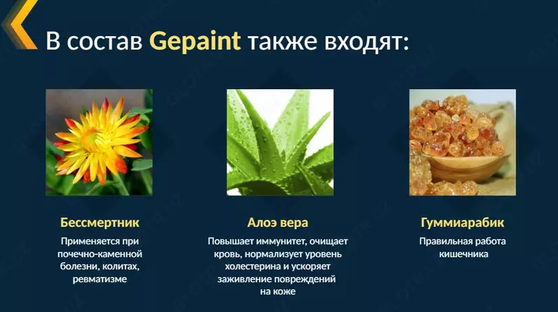 ГепаИнт (GepaInt) – поддержка органов пищеварения - БАДы