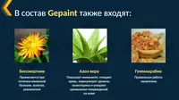 ГепаИнт (GepaInt) – поддержка органов пищеварения - БАДы