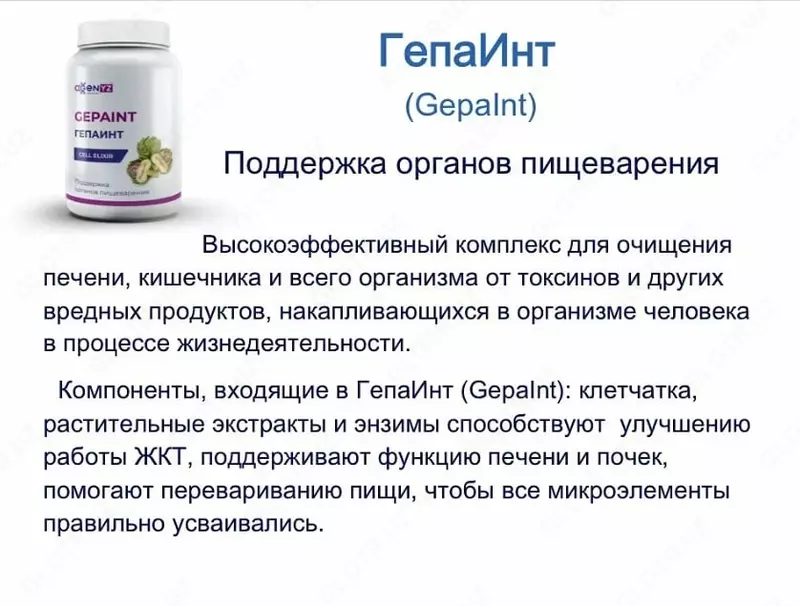 ГепаИнт (GepaInt) – поддержка органов пищеварения БАДы