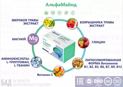  AlfaMind - asab va yurak-qon tomir tizimlarini mustahkamlash - 