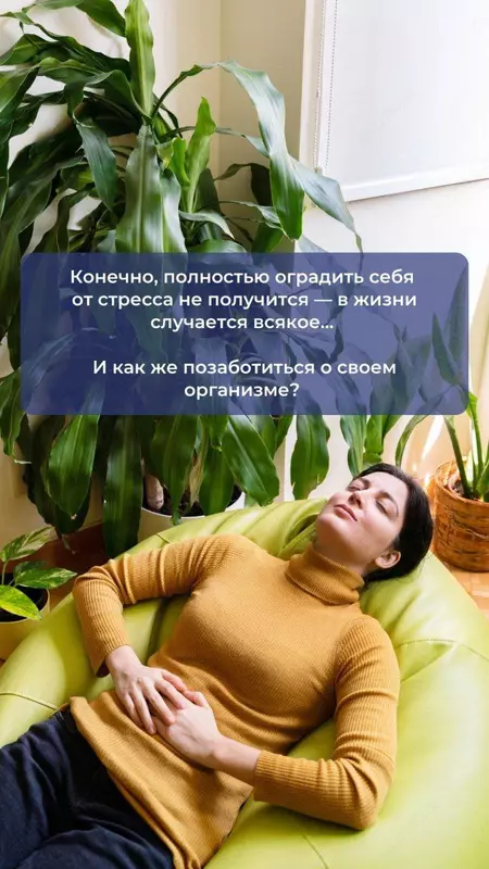  АльфаМайнд - укрепление нервной и сердечно-сосудистой систем Инновационная международная компания AGenYZ