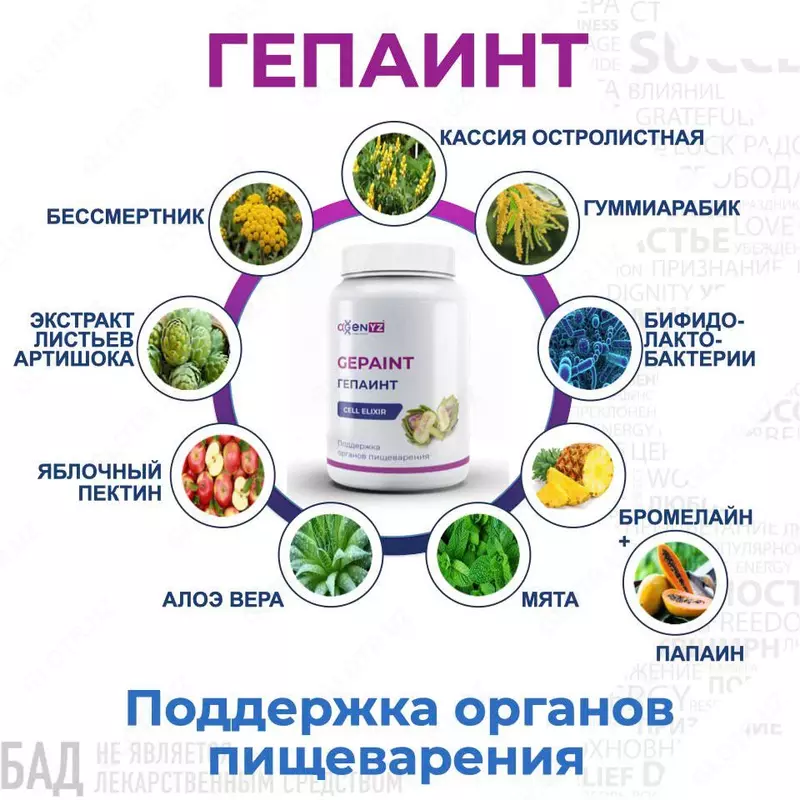  ГепаИнт (GepaInt) – поддержка органов пищеварения Только в розницу