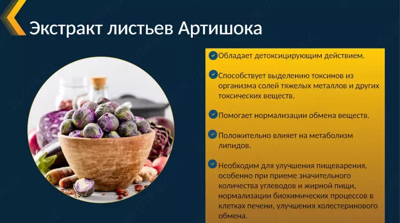  ГепаИнт (GepaInt) – поддержка органов пищеварения БАДы