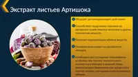  ГепаИнт (GepaInt) – поддержка органов пищеварения БАДы
