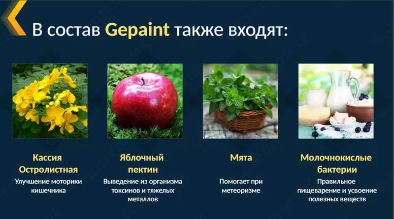  ГепаИнт (GepaInt) – поддержка органов пищеварения  - Инновационная международная компания AGenYZ