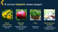  ГепаИнт (GepaInt) – поддержка органов пищеварения  - Инновационная международная компания AGenYZ