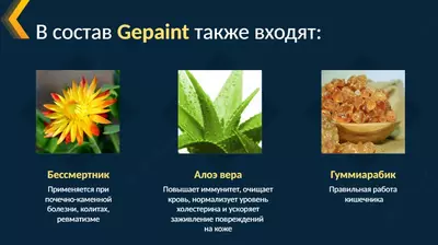  GepaInt - ovqat hazm qilish organlarini qo‘llab-quvvatlash - 
