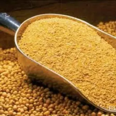 Шрот соевый СП 46%