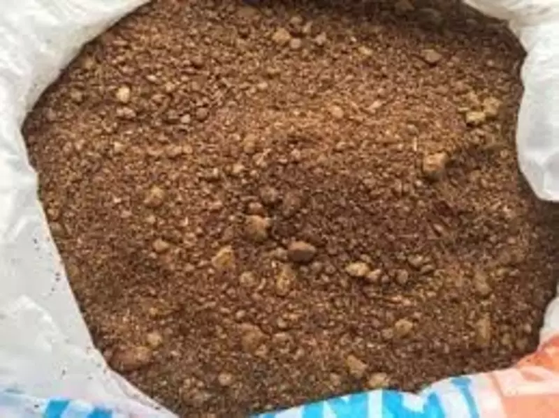 Шрот рапсовый СП 38%