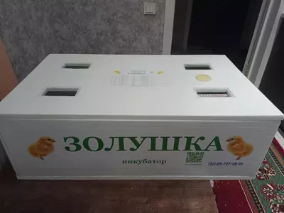 Инкубатор Золушка