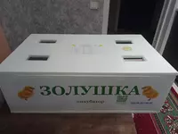 Инкубатор Золушка