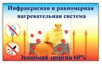 Инкубатор Золушка Золушка