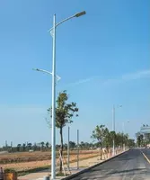 Дорожные уличные опоры  торшеры  столбы  фонари  светильники 30 серия