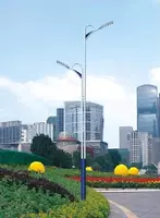  Дорожные уличные опоры  торшеры  столбы  фонари  светильники 30 серия - 