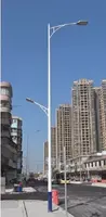  ООО Metall Profil - Дорожные уличные опоры  торшеры  столбы  фонари  светильники 30 серия
