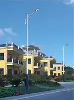  Дорожные уличные опоры  торшеры  столбы  фонари  светильники 50 серия - 