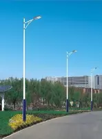   Дорожные уличные опоры  торшеры  столбы  фонари  светильники 50 серия