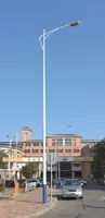 Дорожные уличные опоры  торшеры  столбы  фонари  светильники 50 серия ООО Metall Profil