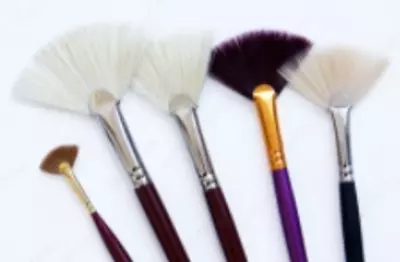 Кисть художественная веерная (P-0148035)