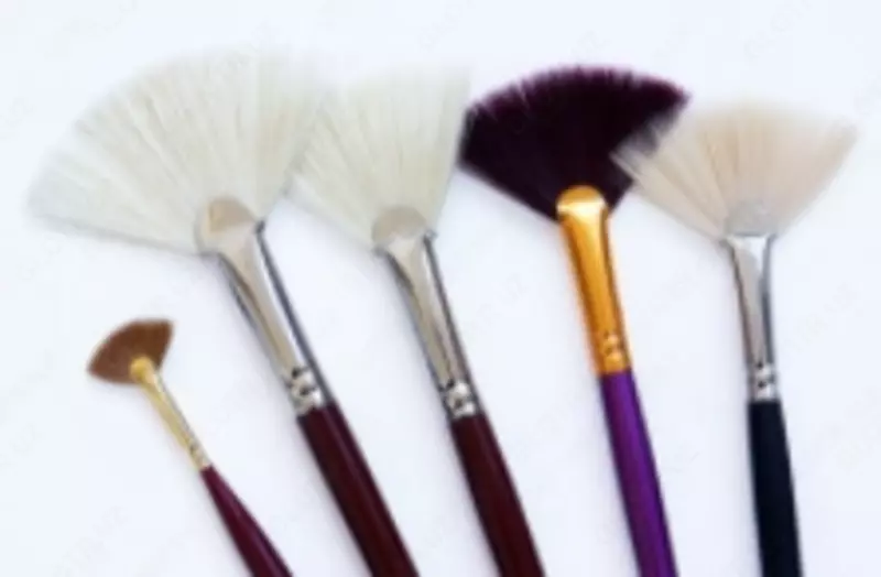 Кисть художественная веерная (P-0148035)