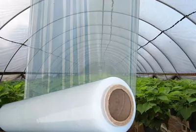 33 000 сум / рулон Полиэтиленовая парниковая пленка "Palma Plast" 777 для теплиц (рулон)