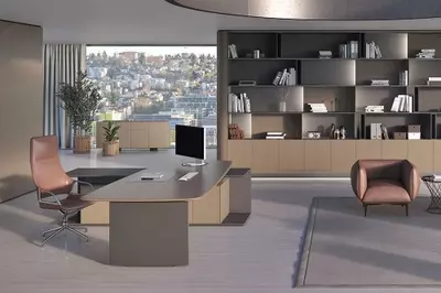 КАБИНЕТ РУКОВОДИТЕЛЯ FOSTER