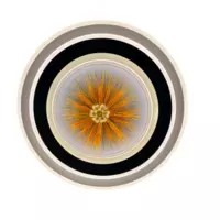 3D плафоны (светельник) - от {0} сум