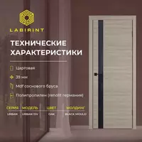 Межкомнатная дверь URBAN 1SV Oak с молдингом Black Mould