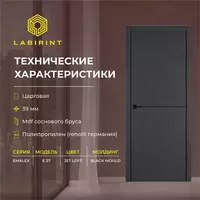 Межкомнатная дверь EMALEX E 27 Jet Loft с молдингом Black Mould