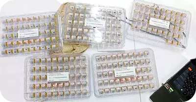 Продажа сенсоров для газоанализаторов и их замена в Ташкенте - "Rapsystem" ООО