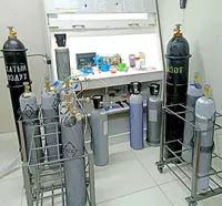  Калибровка  ремонт и обслуживание газоанализаторов Rapid Portable Только в розницу
