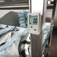 Testo 174 T логгер данных температуры 0572 1560 - от {0} сум