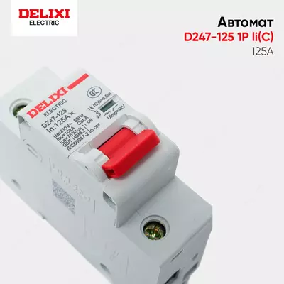 Автоматический выключатель DElIXI DZ47-125