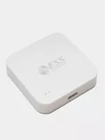 Многорежимный шлюз ZIGBEE ESS-ZG04