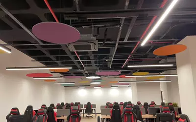 Акустический Канопи