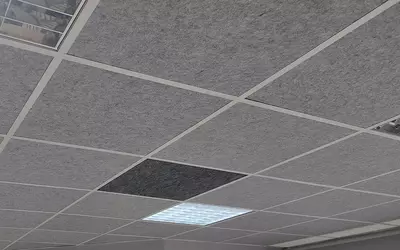 Akustik osma shift panellari GM Mimarlik