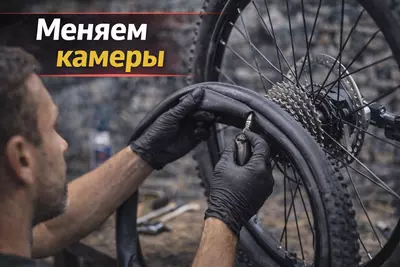  Velosipedga texnik xizmat ko‘rsatish Chakana savdo