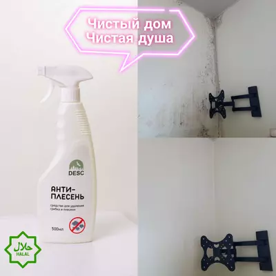Desc Антиплесень - 50 000 so'm / dona