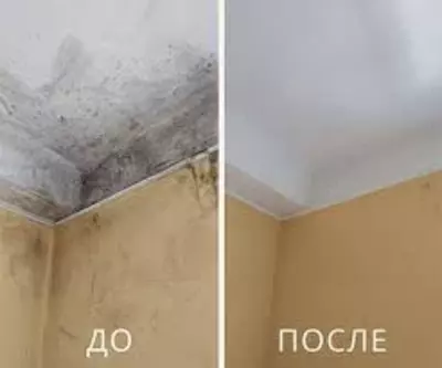 50 000 so'm / dona Desc Антиплесень