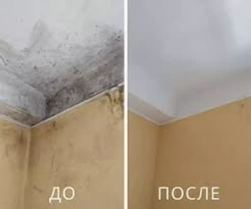 50 000 сум Desc Средство против плесени