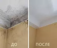 50 000 сум Desc Средство против плесени