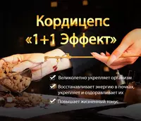 Kordiseps "1+1 Effekti" qayta tiklash va immunomodulyatsion ta'sir bilan