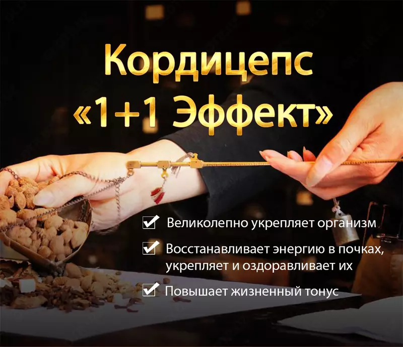 Kordiseps "1+1 Effekti" qayta tiklash va immunomodulyatsion ta'sir bilan