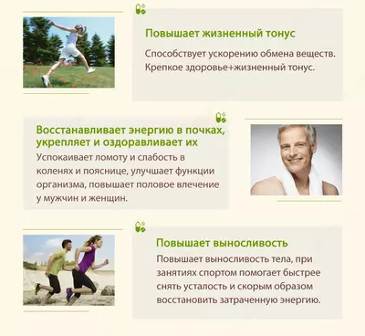 Kordiseps "1+1 Effekti" qayta tiklash va immunomodulyatsion ta'sir bilan корпорации Шен Лунг HAPPINESS