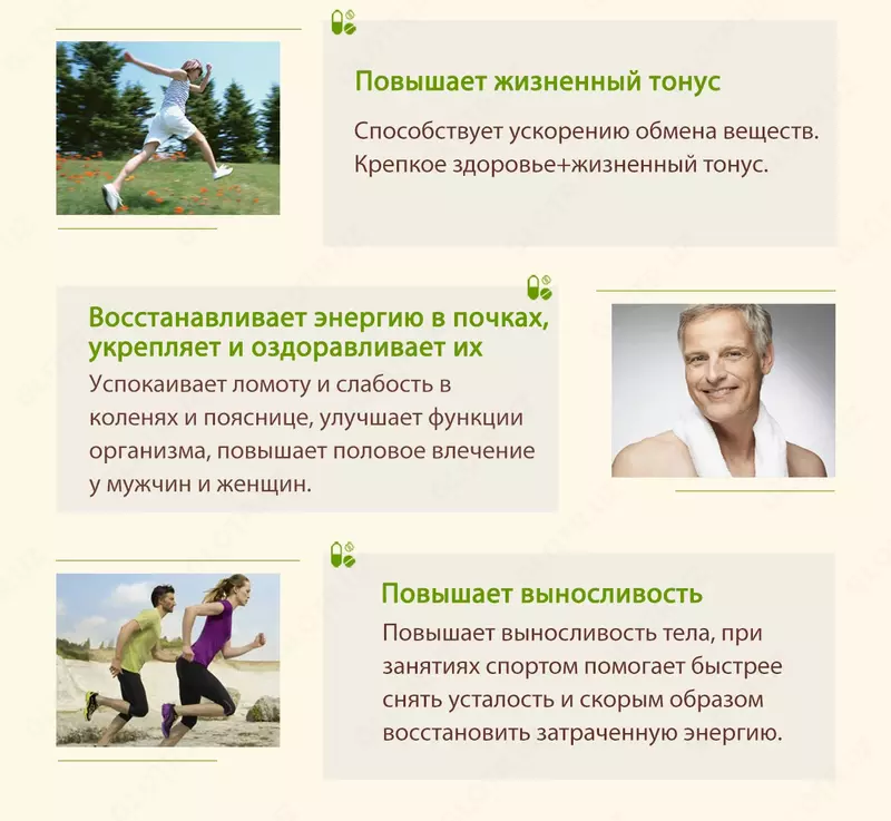 Kordiseps "1+1 Effekti" qayta tiklash va immunomodulyatsion ta'sir bilan корпорации Шен Лунг HAPPINESS