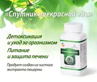 «Спутник прекрасной еды» - нормализует пищеварительную систему