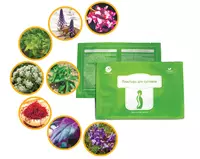 корпорации Шен Лунг HAPPINESS - Пластырь для суставов - для восстановления функции позвоночника и суставов