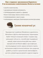 Почечный чай Happiness корпорации Шен Лунг HAPPINESS